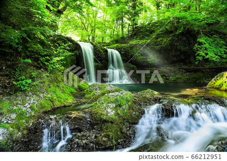 Fresh green waterfall of Kaneyama 66212951