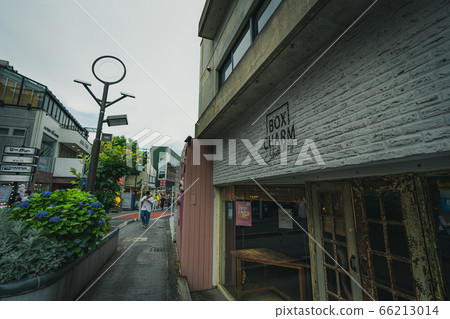 Urban scenery of Tokyo Scenery around Shibuya Cat Street Urban scenery of Tokyo Scenery around Shibuya Cat Street 66213014