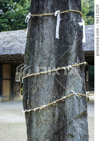 Korean Folk Village Walk 66213028