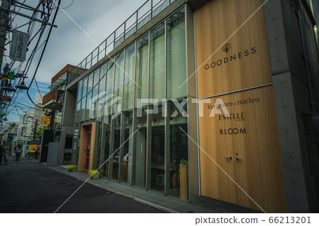 澀谷貓街附近的東京風光的城市風光 澀谷貓街附近的東京風光的城市風光 66213201