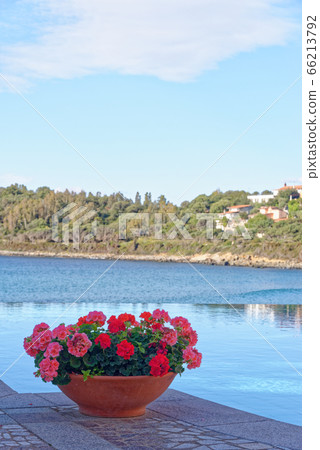 View of the pool and the Mediterranean Sea - Italy 66213792