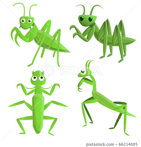 Mantis icons set, cartoon style 66214005