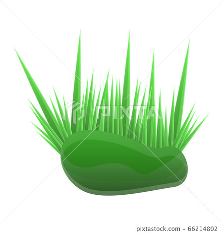 Aquarium grass icon, cartoon style Aquarium grass icon, cartoon style 66214802