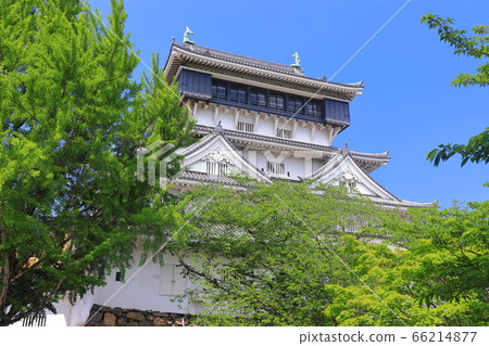 [福岡縣]新鮮的綠色小倉城樓 66214877