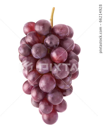 Isolated bunch of red grapes Isolated bunch of red grapes 66214928
