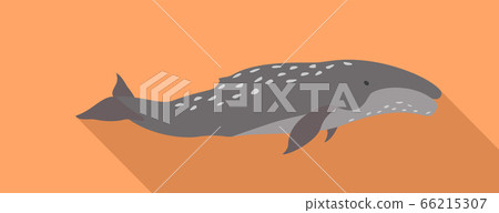 Humpback whale icon, flat style Humpback whale icon, flat style 66215307
