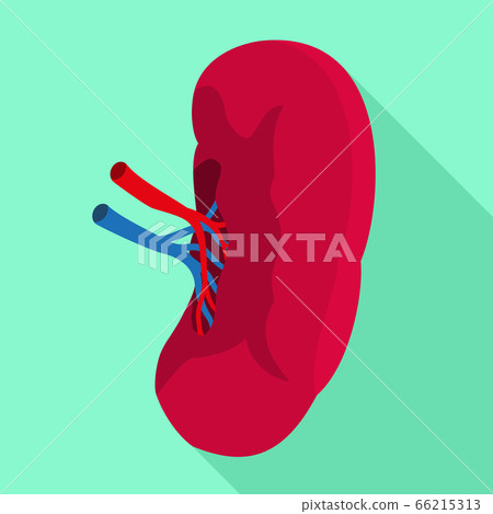 Spleen icon, flat style Spleen icon, flat style 66215313