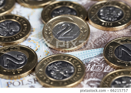 shiny Polish coins 66215757