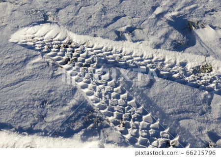 car tire in the snow 66215796