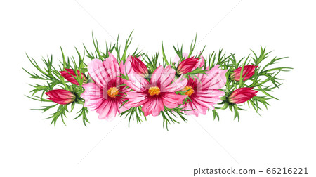 Watercolor floral wreath with cosmos flowers,leaves, foliage, branches, fern leaves and place for text. Perfect for wedding, invitations, greeting cards, print. Wildflowers border. Watercolor floral wreath with cosmos flowers,leaves, foliage, branches, fern leaves and place for text. Perfect for wedding, invitations, greeting cards, print. Wildflowers border. 66216221