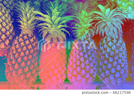 Natural color. Organic food. Fresh pineapple. Natural color. Organic food. Fresh pineapple. 66217596