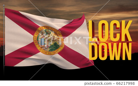 Coronavirus COVID-19 outbreak concept, background with flags of the states of USA. State of Florida flag. Pandemic stop Novel Coronavirus outbreak covid-19 3D illustration. 66217998