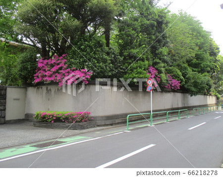 羅馬教廷大使館 羅馬教廷大使館 66218278
