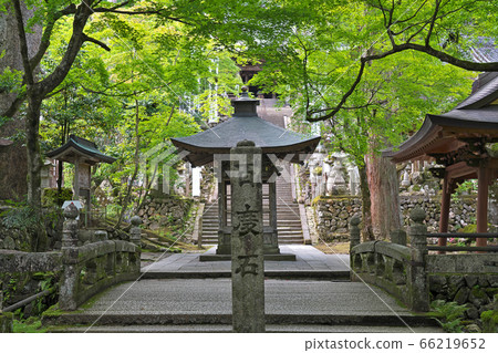 [Kegonji precinct] Gifu Prefecture Ibi-gun, Ibigawa-cho Tokunomi Tanizumi 66219652