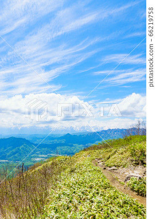Climbing the fresh green of Mt. Iinawa (view of Mt. Iinawa from the northern Alps) 66219758