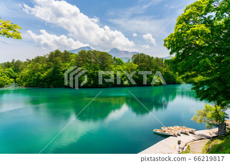 Scenery of Bishamonnuma (Goshikinuma) in early summer Fresh green and lake surface Kitashiobara Village, Fukushima Prefecture 66219817