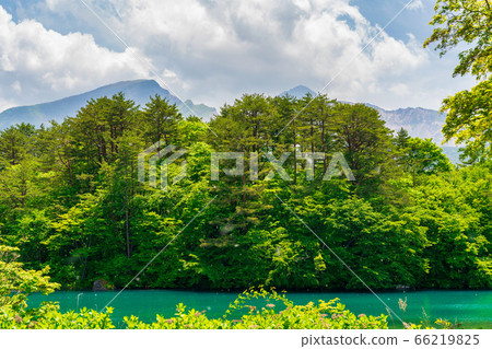 Scenery of Bishamonnuma (Goshikinuma) in early summer Fresh green and lake surface Kitashiobara Village, Fukushima Prefecture 66219825