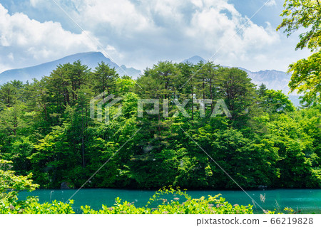 Scenery of Bishamonnuma (Goshikinuma) in early summer Fresh green and lake surface Kitashiobara Village, Fukushima Prefecture 66219828