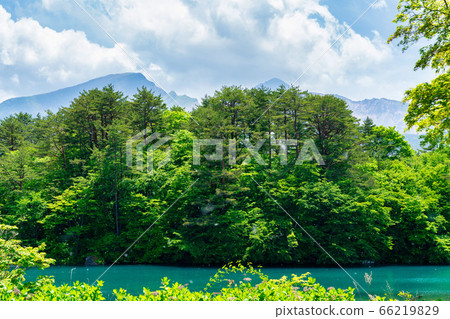 初夏的Bishamonnuma(Goshikinuma)風景福島縣北大原村的鮮綠色和湖面 初夏的Bishamonnuma(Goshikinuma)風景福島縣北大原村的鮮綠色和湖面 66219829