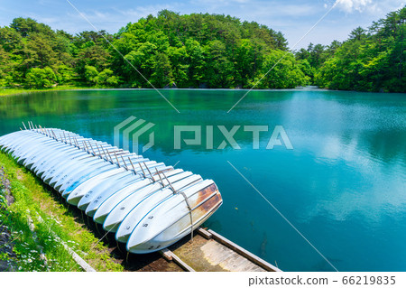 Scenery of Bishamonnuma (Goshikinuma) in early summer Fresh green and lake surface Kitashiobara Village, Fukushima Prefecture Scenery of Bishamonnuma (Goshikinuma) in early summer Fresh green and lake surface Kitashiobara Village, Fukushima Prefecture 66219835