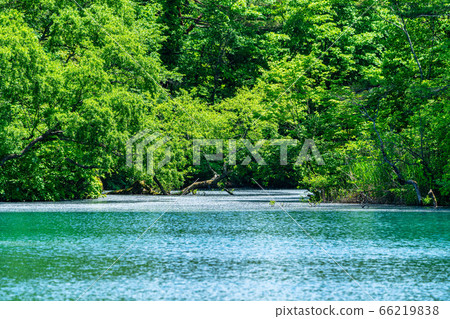 Scenery of Bishamonnuma (Goshikinuma) in early summer Fresh green and lake surface Kitashiobara Village, Fukushima Prefecture Scenery of Bishamonnuma (Goshikinuma) in early summer Fresh green and lake surface Kitashiobara Village, Fukushima Prefecture 66219838