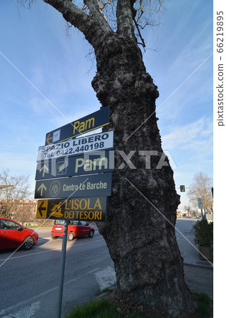 Italy Venice 66219895