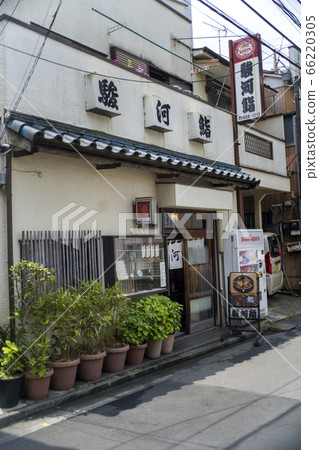 冠狀病毒景觀 66220305