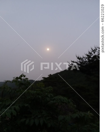 Only when the moonlight illuminates the whole world does the moonflower begin to stretch its wings. Only when the moonlight illuminates the whole world does the moonflower begin to stretch its wings. 66221029