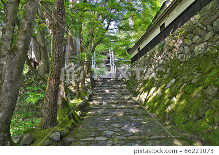 [Yokozoji Temple] Tanikukamibara, Ibigawa-cho, Ibi-gun, Gifu Prefecture 66221073