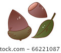 Illustration image of acorn with hat 66221087