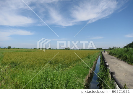 Arakawa Cycling Road in early summer Arakawa Cycling Road in early summer 66221621