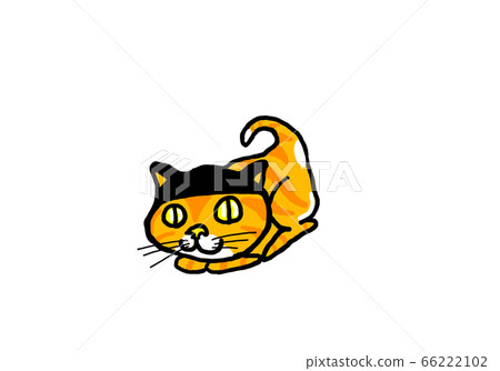 Cat straw 1 Cat straw 1 66222102