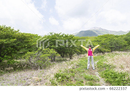 A woman walking on a nature research path in nature 66222337