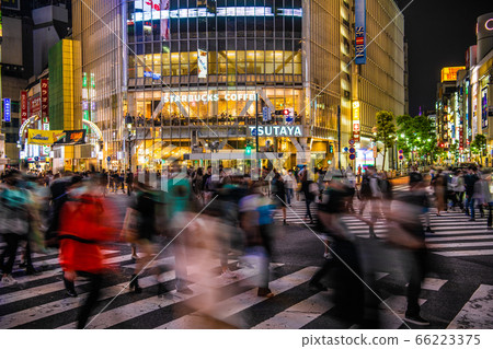Tokyo cityscape in Japan, overlooking the scramble intersection in Shibuya (night view) Tokyo cityscape in Japan, overlooking the scramble intersection in Shibuya (night view) 66223375