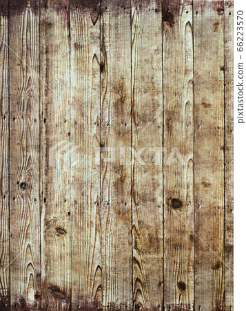 Texture of wood grain 66223570