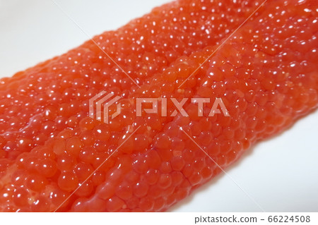 Home-made and simple home-cooked raw "Trout child" Home-made and simple home-cooked raw "Trout child" 66224508