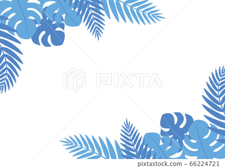 龜背竹和棕櫚葉框架 66224721