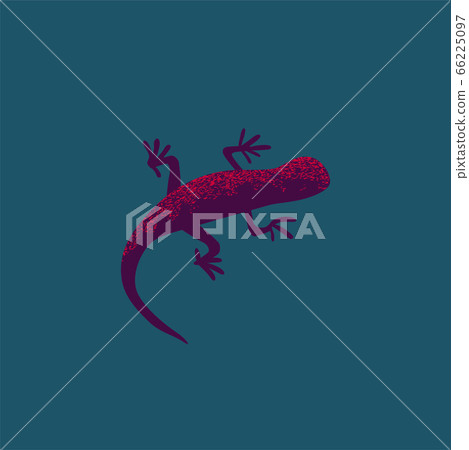 Gecko illustration 66225097