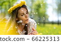 Beautiful Young Woman lying on the field in green grass and blowing dandelion. 66225313