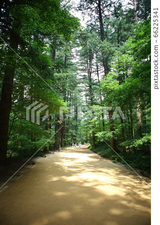 小田山國立公園 小田山國立公園 66225341