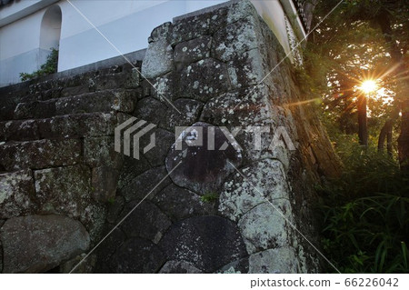 Kakegawa Castle 66226042