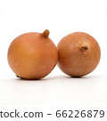 onions isolated on white 66226879