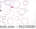 sliced red onions set isolated on white background 66226880