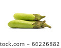 green eggplant isolated on white 66226882