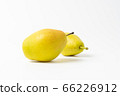 pears isolated on white 66226912