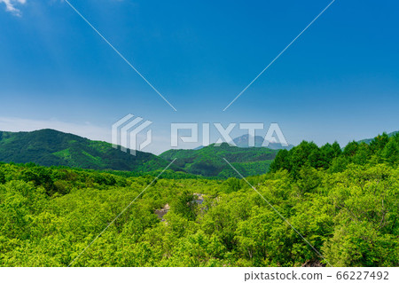 Scenery of Bandai Azuma Lakeline in early summer, fresh green forest and Mt. Bandai, Inawashiro Town, Fukushima Prefecture Scenery of Bandai Azuma Lakeline in early summer, fresh green forest and Mt. Bandai, Inawashiro Town, Fukushima Prefecture 66227492