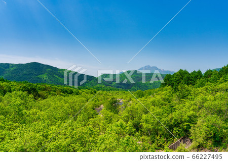 Scenery of Bandai Azuma Lakeline in early summer, fresh green forest and Mt. Bandai, Inawashiro Town, Fukushima Prefecture Scenery of Bandai Azuma Lakeline in early summer, fresh green forest and Mt. Bandai, Inawashiro Town, Fukushima Prefecture 66227495
