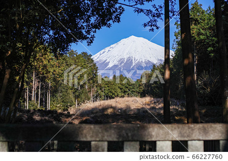 靜岡/山宮淺間神社(富士山本身就是據說是許多淺間神社中最古老的神社) 靜岡/山宮淺間神社(富士山本身就是據說是許多淺間神社中最古老的神社) 66227760
