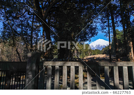 靜岡/山宮淺間神社（富士山本身就是據說是許多淺間神社中最古老的神社） 66227763