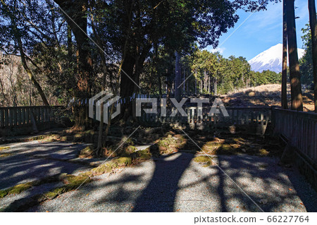 靜岡/山宮淺間神社（富士山本身就是據說是許多淺間神社中最古老的神社） 66227764